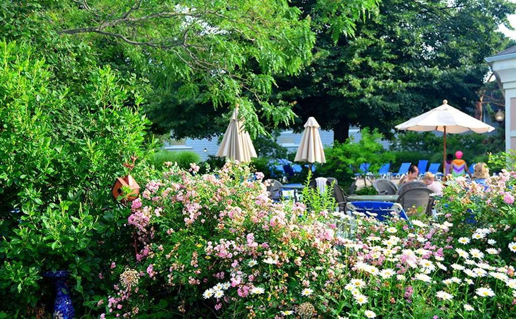 Margaritaville Resort Cape Cod Хаянис Съоръжения снимка